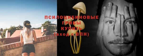 первитин Новозыбков