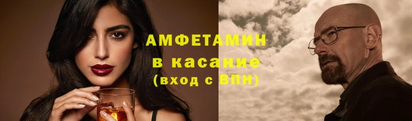 ГАЛЛЮЦИНОГЕННЫЕ ГРИБЫ Аркадак