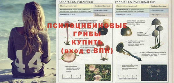 каннабис Новодвинск